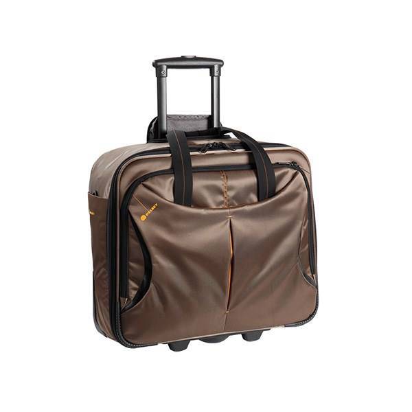 چمدان دلسی مدل DLC کد 248448، Delsey DLC 248448 Luggage