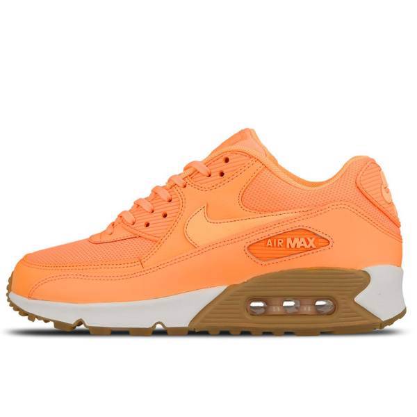 کفش مخصوص دویدن زنانه نایکی مدل Air Max 90، Nike Air Max 90 Running Shoes For Women