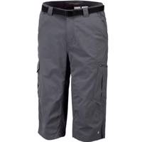 شلوارک ورزشی مردانه کلمبیا مدل Silver Ridge - Columbia Silver Ridge Short Pants For Men