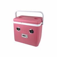 یخدان مسافرتی مدمان مدل کولاک اسپیکردار 25 لیتری - Modman Koolak SPK Ice Box 25 Litre Travel Accessories