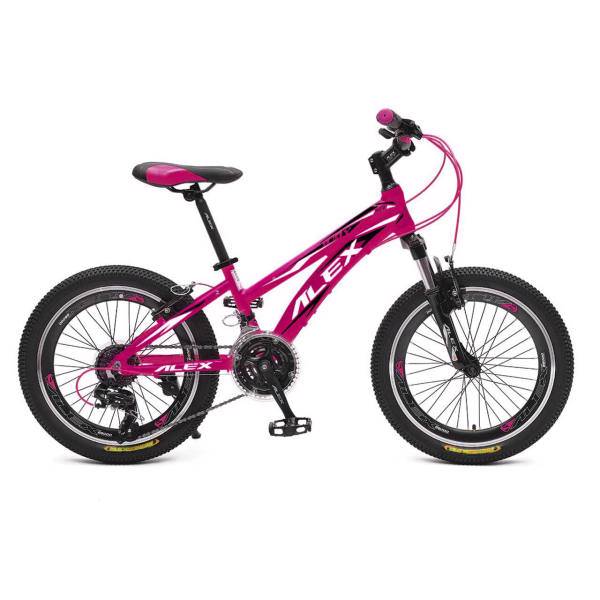 دوچرخه کوهستان الکس مدل Judy سایز 20، Alex Judy Mountain Bicycle Size 20