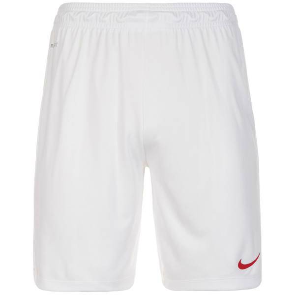 شورت ورزشی مردانه نایکی مدل Park II، Nike Park II Shorts For Men Park II