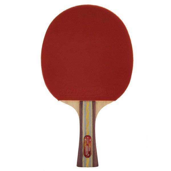 راکت پینگ پنگ دی اچ اس کد 3002، DHS 3002 Ping Pong Racket