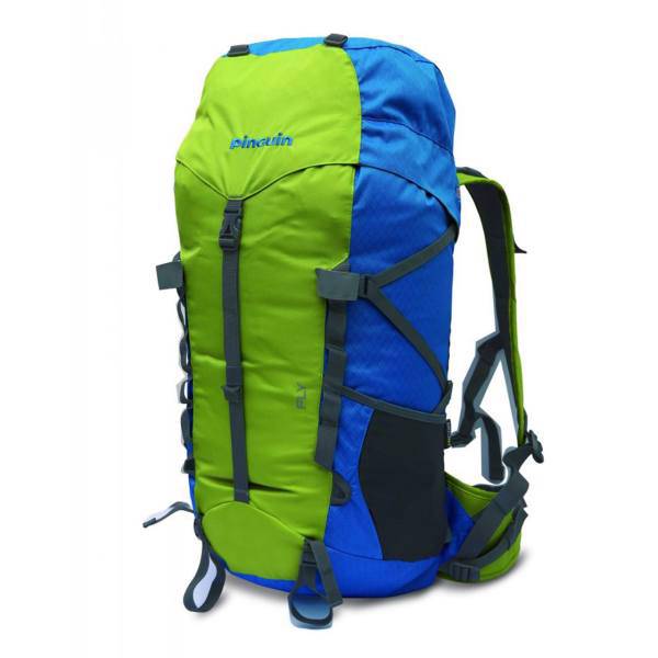 کوله پشتی کوهنوردی پینگوئن مدل Blue Fly، Pinguin Blue Fly Mountain Backpack