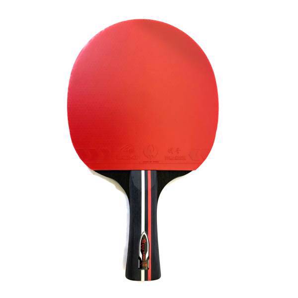 راکت پینگ پنگ لوکی مدل 2 ستاره، Loki 2 Star Ping Pong Racket