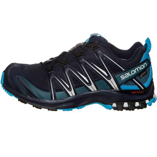 کفش مخصوص دویدن مردانه سالومون مدل XA Pro 3D GTX، Salomon XA Pro 3D GTX Running Shoes For Men