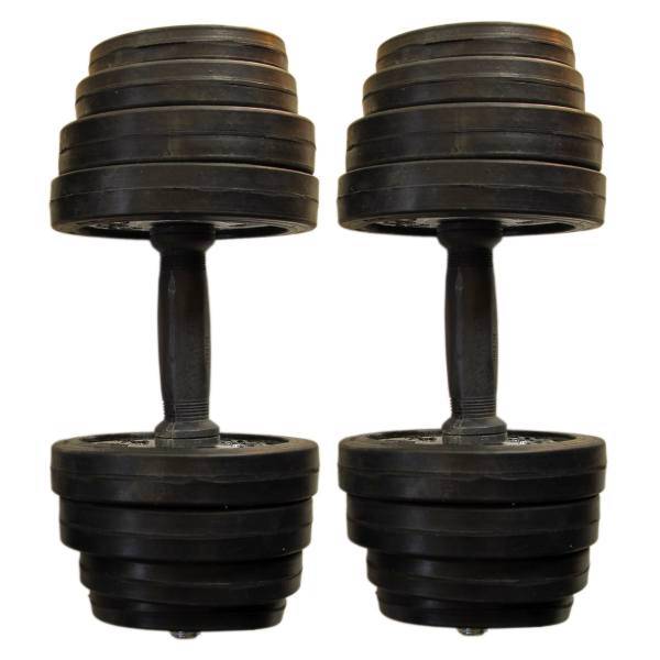 دمبل 10 کیلوگرمی الماس مدل D1 بسته 2 عددی، Almas D1 10Kg Dumbbell Pack Of 2