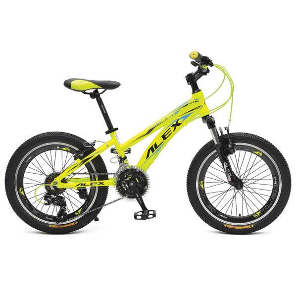 دوچرخه کوهستان الکس مدل Judy سایز 20، Alex Judy Mountain Bicycle Size 20