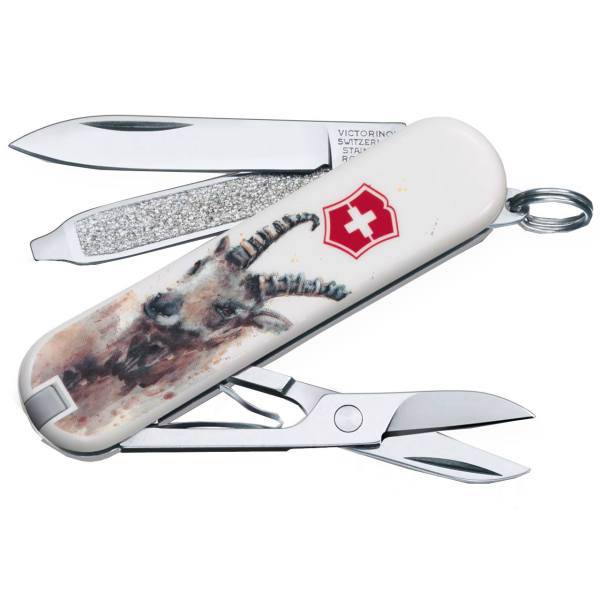 چاقوی ویکتورینوکس مدل Capricorn 0.6223.L1610، Victorinox Capricorn 0.6223.L1610 Knife