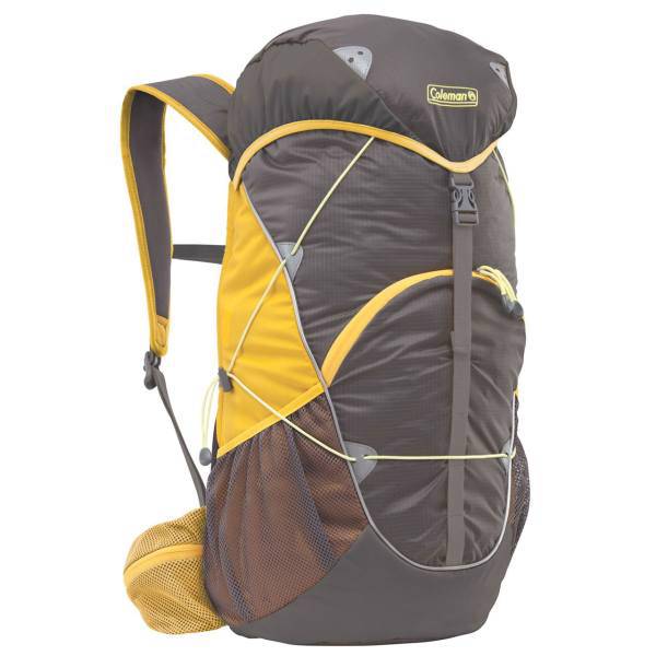 کوله پشتی کلمن مدل Glacier Basin، Coleman Glacier Basin Backpack