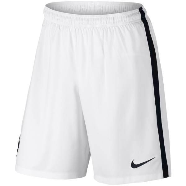 شورت ورزشی مردانه نایکی مدل FFF Stadium، Nike FFF Stadium Shorts For Men