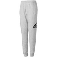 شلوار مردانه آدیداس مدل Logo Fleece Adidas Logo Fleece Pants For Men