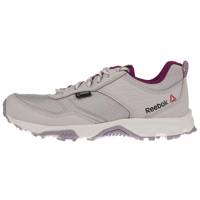 کفش مخصوص دویدن زنانه ریباک مدل Franconia Ridge II GTX Reebok Franconia Ridge II GTX Running Shoes For Women