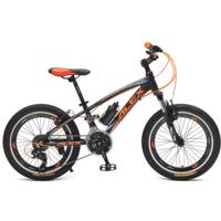 دوچرخه کوهستان الکس مدل Victory سایز 20 Alex Victory Mountain Bicycle Size 20