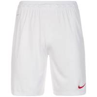 شورت ورزشی مردانه نایکی مدل Park II Nike Park II Shorts For Men Park II