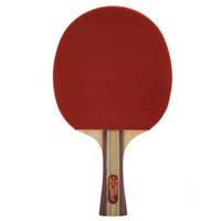 راکت پینگ پنگ دی اچ اس کد 3002 DHS 3002 Ping Pong Racket