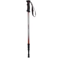 عصای کوهنوردی هفت گوهر طرح 1 HaftGohar Trekking Pole Pattern 1