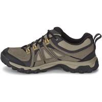 کفش کوهنوردی مردانه سالومون مدل Evasion GTX Salomon Evasion GTX Climbing Shoes For Men