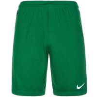 شورت ورزشی مردانه نایکی مدل Park II Nike Park II Shorts For Men