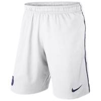 شورت ورزشی مردانه نایکی مدل PSG Stadium Nike PSG Stadium Shorts For Men