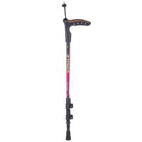 عصای کوهنوردی ویپول مدل Walker Vipole Walker Trekking Pole