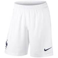 شورت ورزشی مردانه نایکی مدل FFF Stadium Nike FFF Stadium Shorts For Men