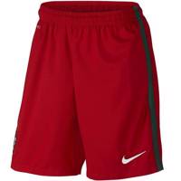 شورت ورزشی مردانه نایکی مدل FPF Stadium Nike FPF Stadium Shorts For Men