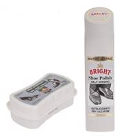 مجموعه لوازم نگهداری از کفش برایت Bright Shoe Care Kit