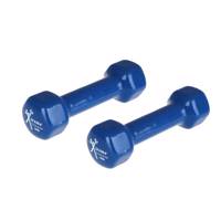 دمبل شش‌ ضلعی 1 کیلوگرمی اکستریم فیتنس بسته 2 عددی - 1Kg Hexagonal Xtreme Fitness Dumbbell Pack Of 2