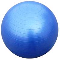 توپ بدنسازی پیلاتس تایتان فیتنس مدل GYM BALL