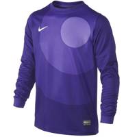 تی شرت مردانه نایکی مدل Park IV Nike Park IV Jersey Teams For Men