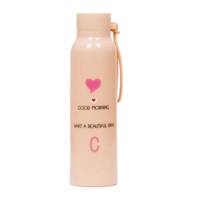 قمقمه شیشه ای کوه شاپ مدل S31-4 KOOHSHOP S31-4 Glass Water Bottle