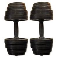 دمبل 10 کیلوگرمی الماس مدل D1 بسته 2 عددی - Almas D1 10Kg Dumbbell Pack Of 2