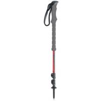 عصای کوهنوردی بلک دایموند مدل Trail Compact - Black Diamond Trail Compact Trekking Pole