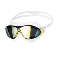عینک شنا هد مدل SW Mask Horizon Mirrored sil Head SW Mask Horizon Mirorred sil Swimming Goggles