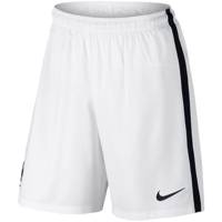 شورت ورزشی مردانه نایکی مدل FFF Stadium Nike FFF Stadium Shorts For Men